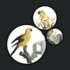 Wandkraft Bright Wings 027 - Set van 3 Sale
