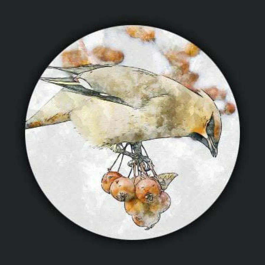 Wandkraft Bright Wings 024 rond Outlet