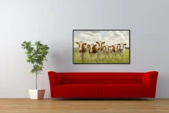 Wandkraft Curious Cows Online