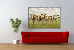 Wandkraft Curious Cows Online