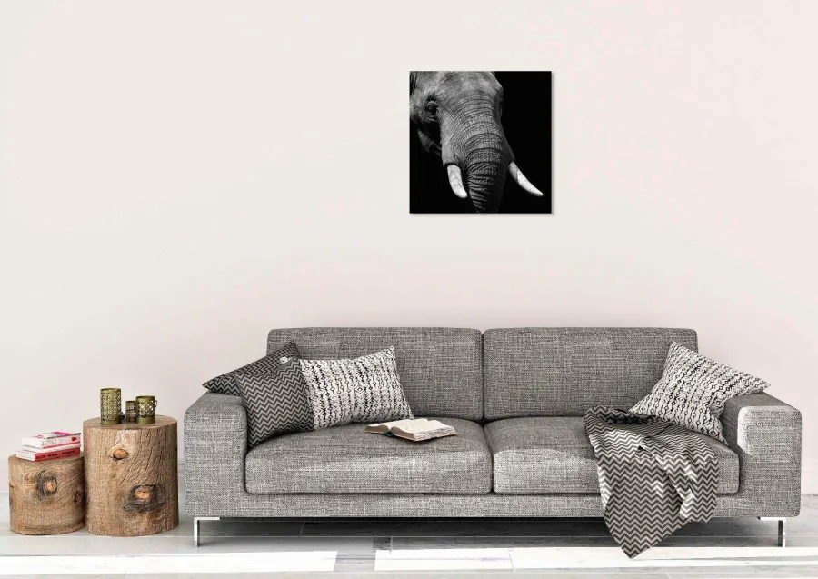 Wandkraft Faces 023 - Faces 74 x 74 cm