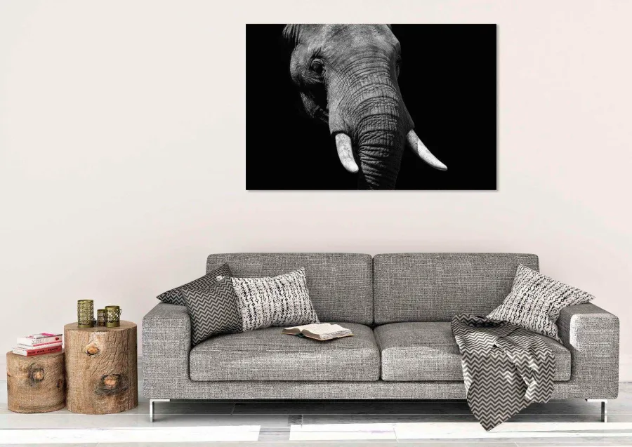 Wandkraft Faces 023 - Faces 74 x 74 cm