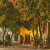 Wandkraft Night in Sevilla Clearance