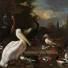 Wandkraft The floating feather by Melchior d'Hondecoeter Hot