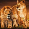Wandkraft The Lion Family Outlet