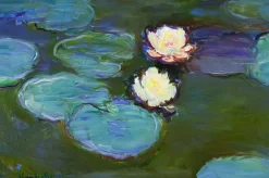 Wandkraft The Water Lily by Claude Monet Discount