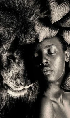 Wandkraft The Woman and Lion