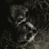 Wandkraft Wildlife 003 Online