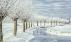 Wandkraft Winter in Holland Online