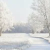 Wandkraft Winter Meadow Outlet