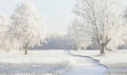 Wandkraft Winter Meadow Outlet