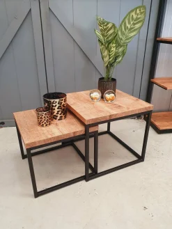 WoonMax Salontafel Floris set van 2 mango lamulux New