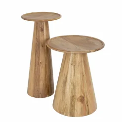 WoonStijl Bijzettafel set van 2 Cone Best