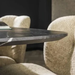 WoonStijl Eetkamertafel 215 deens ovaal zwart bruin New