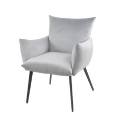 WoonStijl Eettafelstoel Lobby velvet zilverkleurig Discount
