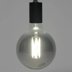 WoonStijl Lichtbron LED filament bol Ø12 5 - E27 6W 2100K 450lm dimbaar / Smoke grey glas Best