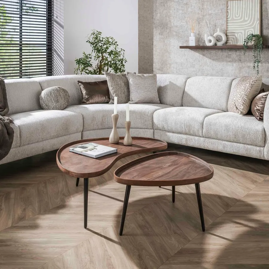 WoonStijl Salontafel Carve organisch set van 2