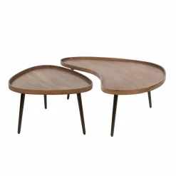 WoonStijl Salontafel Carve organisch set van 2