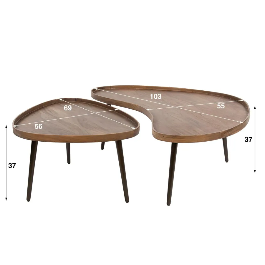 WoonStijl Salontafel Carve organisch set van 2