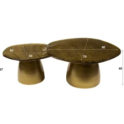 WoonStijl Salontafel set van 2 Eclipse goud antiek finish Clearance
