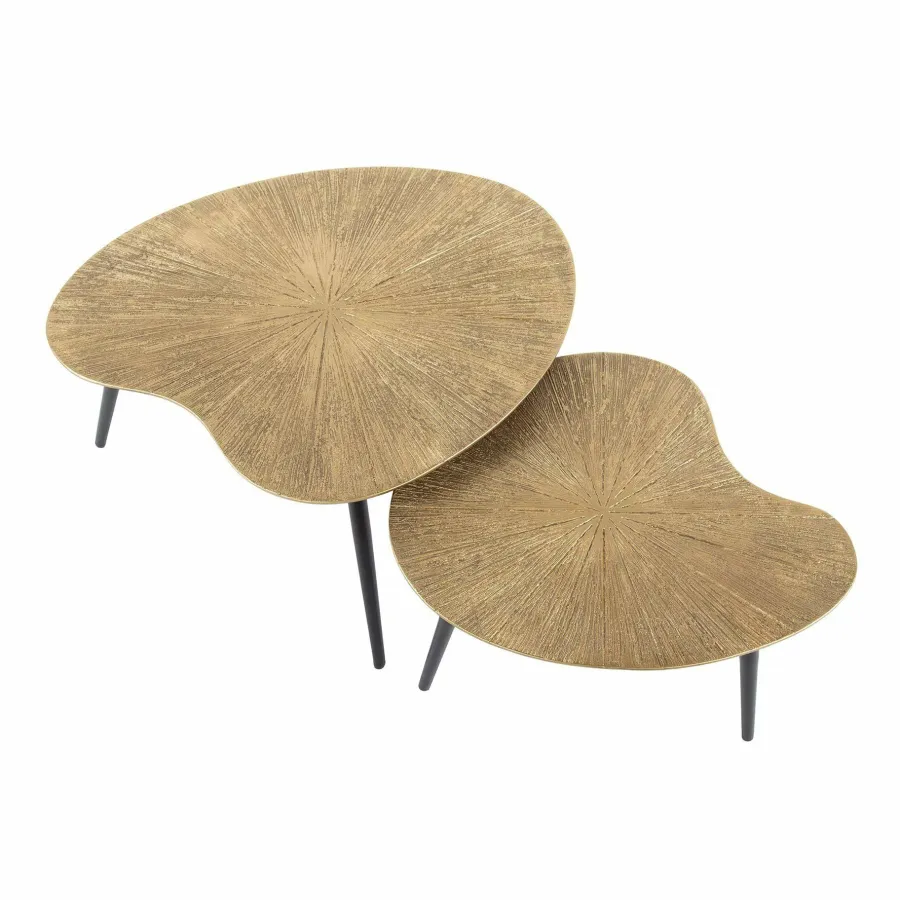 WoonStijl Salontafel set van 2 niervormig ray metal Hot