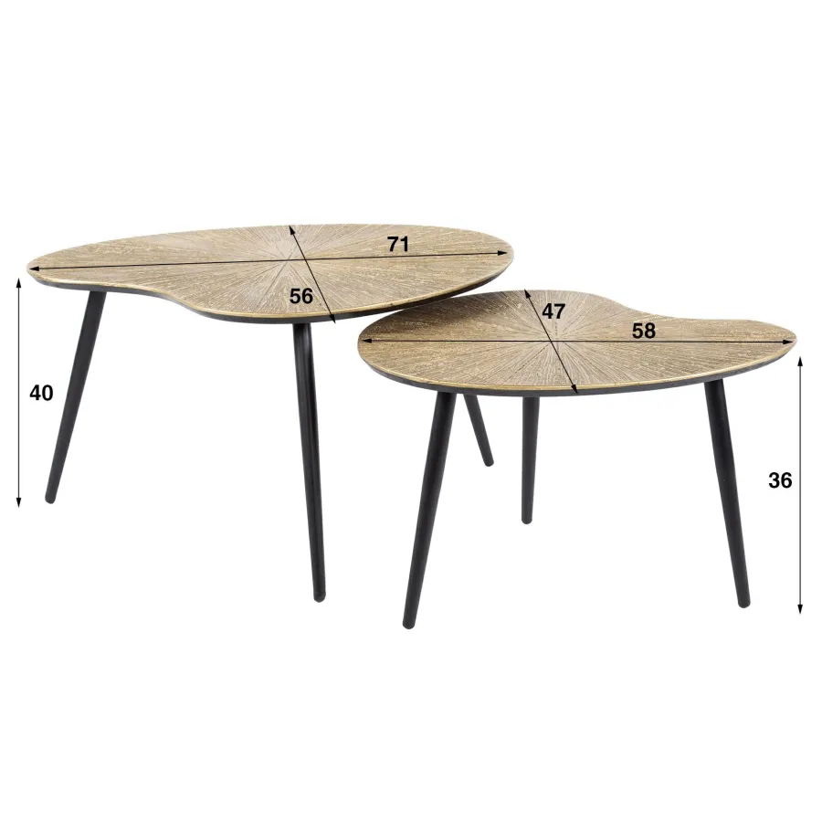 WoonStijl Salontafel set van 2 niervormig ray metal Hot