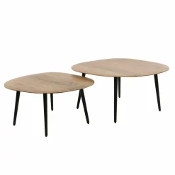 WoonStijl Salontafel set van 2 Rock organisch Clearance
