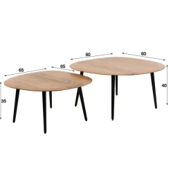WoonStijl Salontafel set van 2 Rock organisch Clearance