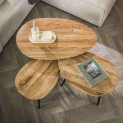 WoonStijl Salontafel set van 3 Acacia organisch Online
