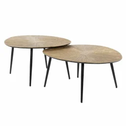 WoonStijl Salontafel set van 2 organisch ray metal