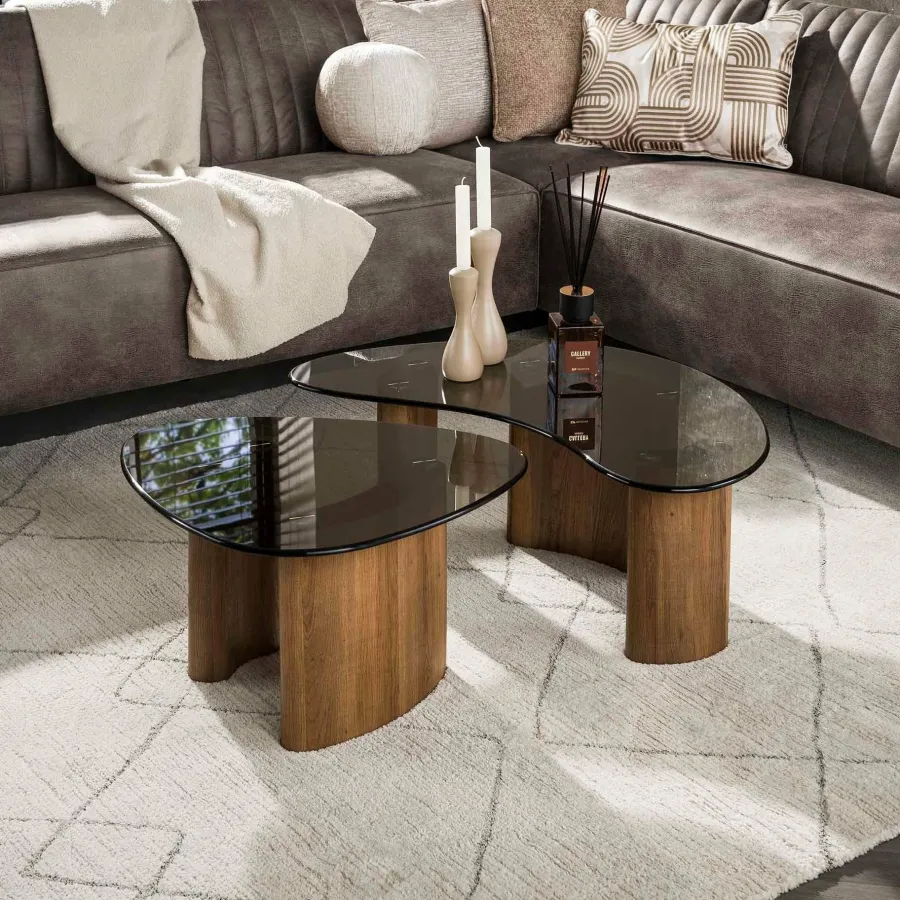 WoonStijl Salontafel Tinto organisch set van 2 salontafels met brons glas