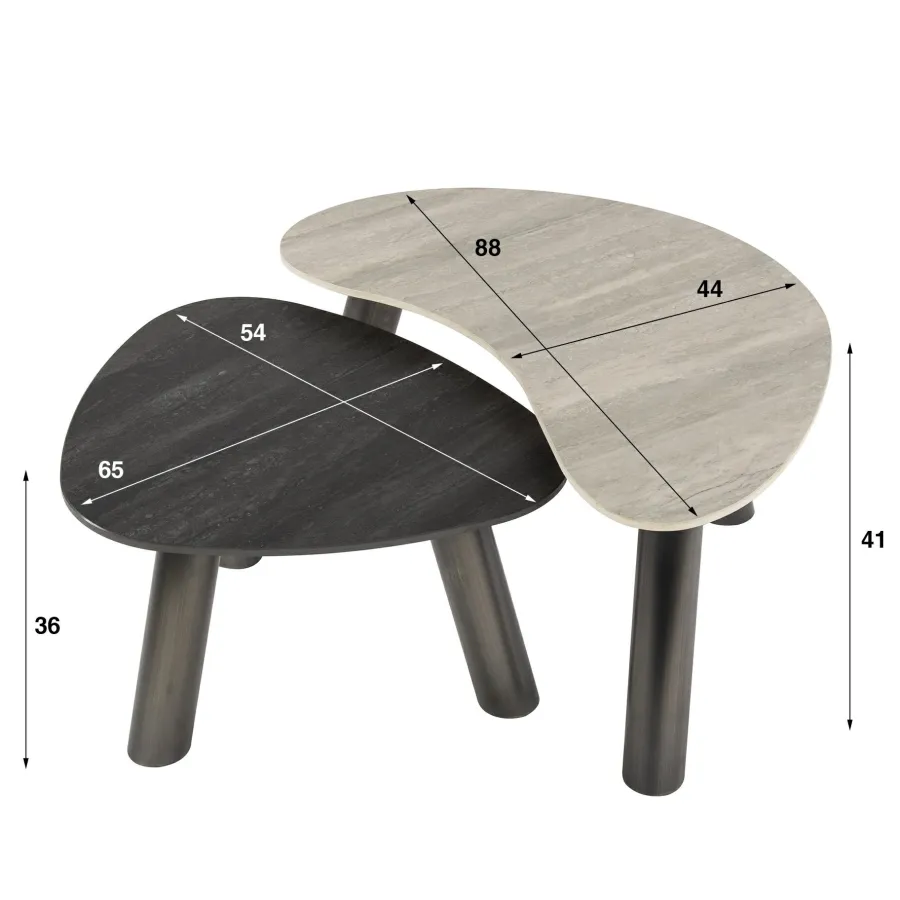 WoonStijl Salontafel Twin organisch set van 2 salontafels Sale