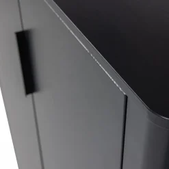 Woood Gunnar 2-Deurs Kast Grenen Matzwart [fsc] Outlet