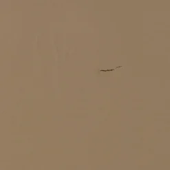 Woood TURNER platenkast grenen mud [fsc] Online